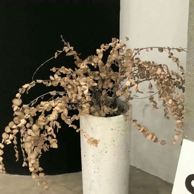 兽设毛发刻画细节兽圈社群